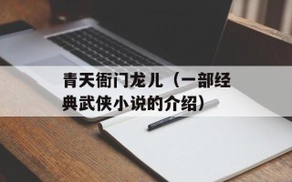 青天衙门龙儿（一部经典武侠小说的介绍）