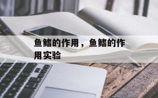 鱼鳍的作用，鱼鳍的作用实验