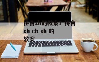 拼音sh的教案？拼音zh ch sh 的教案