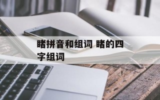 睹拼音和组词 睹的四字组词