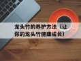 龙头竹的养护方法（让你的龙头竹健康成长）
