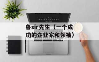 鲁sir先生（一个成功的企业家和领袖）