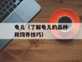 龟儿（了解龟儿的品种和饲养技巧）