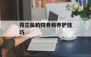 荷兰鼠的饲养和养护技巧