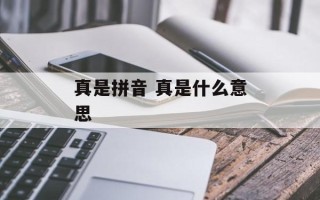 真是拼音 真是什么意思