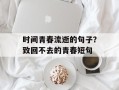 时间青春流逝的句子？致回不去的青春短句