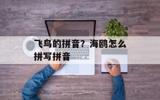 飞鸟的拼音？海鸥怎么拼写拼音