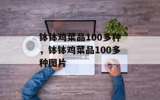 钵钵鸡菜品100多种，钵钵鸡菜品100多种图片