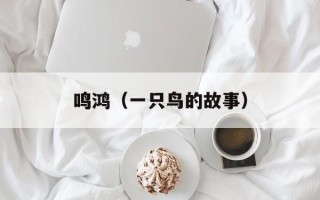 鸣鸿（一只鸟的故事）