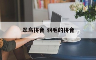 翠鸟拼音 羽毛的拼音