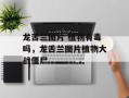 龙舌兰图片 植物有毒吗，龙舌兰图片植物大战僵尸
