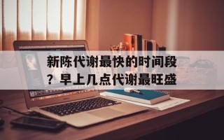 新陈代谢最快的时间段？早上几点代谢最旺盛