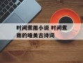 时间煮雨小说 时间煮雨的唯美古诗词