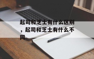 起司和芝士有什么区别，起司和芝士有什么不同