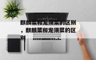 麒麟菜和龙须菜的区别，麒麟菜和龙须菜的区别