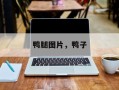 鸭腿图片，鸭子