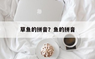 草鱼的拼音？鱼的拼音