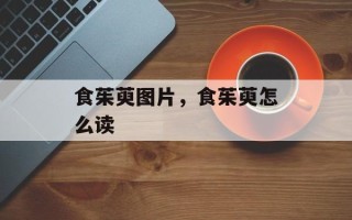 食茱萸图片，食茱萸怎么读