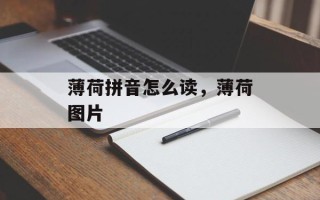 薄荷拼音怎么读，薄荷图片
