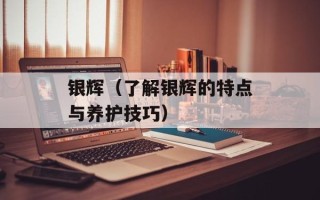 银辉（了解银辉的特点与养护技巧）
