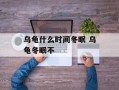 乌龟什么时间冬眠 乌龟冬眠不