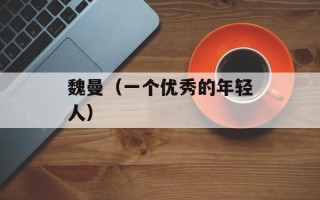 魏曼（一个优秀的年轻人）