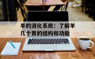 羊的消化系统：了解羊几个胃的结构和功能