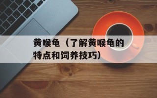黄喉龟（了解黄喉龟的特点和饲养技巧）