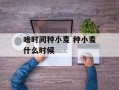 啥时间种小麦 种小麦什么时候