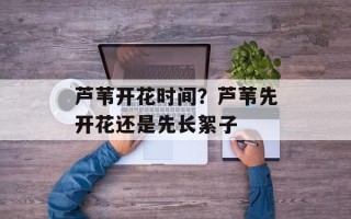芦苇开花时间？芦苇先开花还是先长絮子