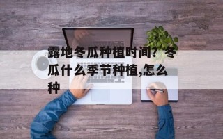 露地冬瓜种植时间？冬瓜什么季节种植,怎么种