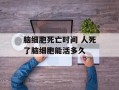 脑细胞死亡时间 人死了脑细胞能活多久