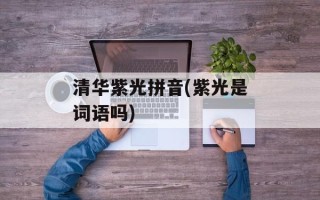 清华紫光拼音(紫光是词语吗)