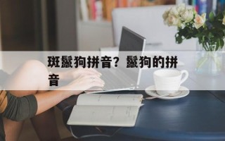 斑鬣狗拼音？鬣狗的拼音