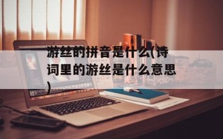 游丝的拼音是什么(诗词里的游丝是什么意思)