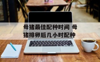 母猪最佳配种时间 母猪排卵后几小时配种
