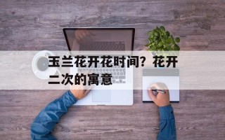 玉兰花开花时间？花开二次的寓意