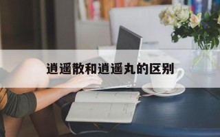 逍遥散和逍遥丸的区别