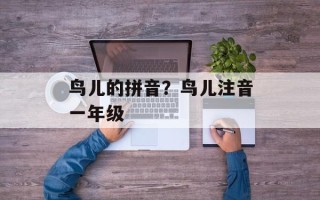 鸟儿的拼音？鸟儿注音一年级