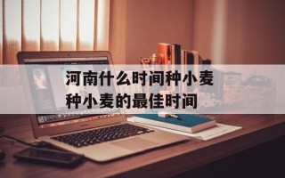 河南什么时间种小麦 种小麦的最佳时间