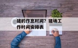 猪的作息时间？猪场工作时间安排表