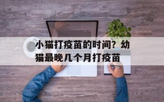 小猫打疫苗的时间？幼猫最晚几个月打疫苗