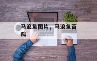 马浪鱼图片，马浪鱼百科