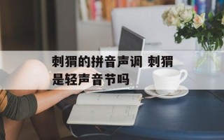刺猬的拼音声调 刺猬是轻声音节吗