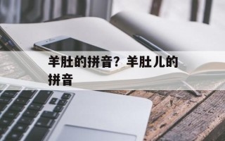 羊肚的拼音？羊肚儿的拼音