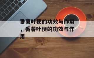 番薯叶梗的功效与作用，番薯叶梗的功效与作用