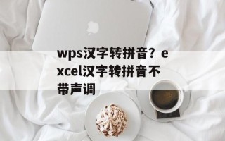 wps汉字转拼音？excel汉字转拼音不带声调