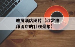 迪拜酒店图片（欣赏迪拜酒店的壮观景象）