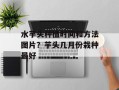 水芋头种植时间和方法图片？芋头几月份栽种最好