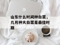 山东什么时间种白菜，几月种大白菜是最佳时期